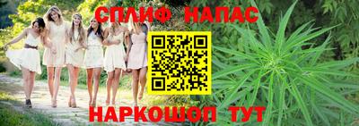 ECSTASY Кимры