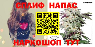 ECSTASY Кимры