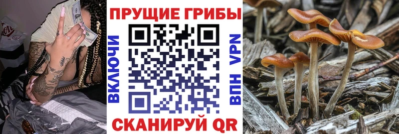 Галлюциногенные грибы MAGIC MUSHROOMS  Строитель 