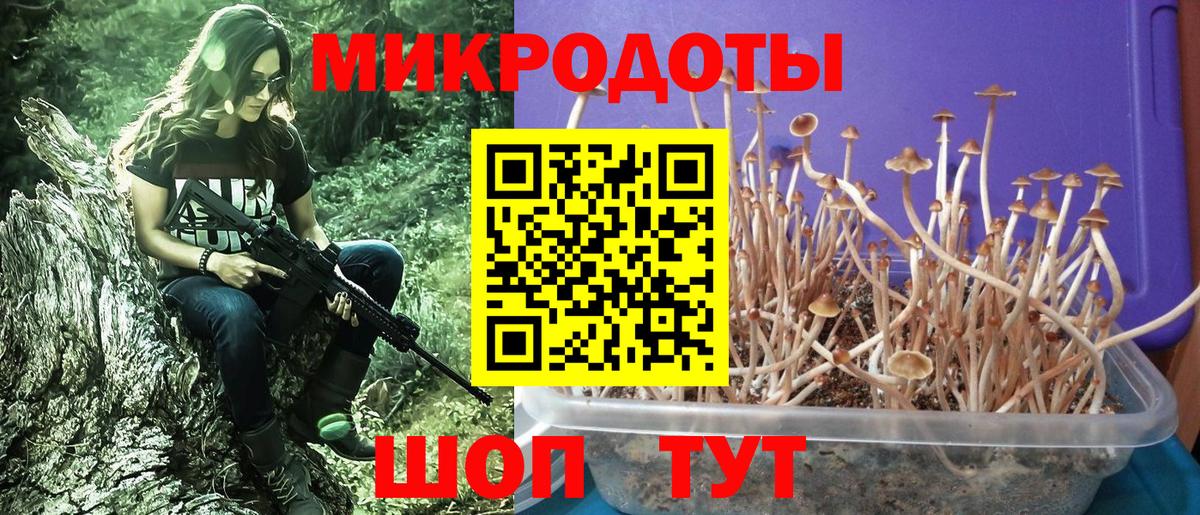 Галлюциногенные грибы Magic Shrooms Строитель