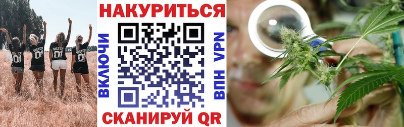 Шишки марихуана индика  Строитель 