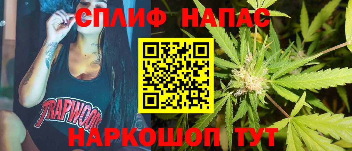 Канабис ГИДРОПОН Строитель